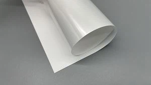 PP Paper Self Adhesive Water Proof PP Paper Self Adhesive Water Proof